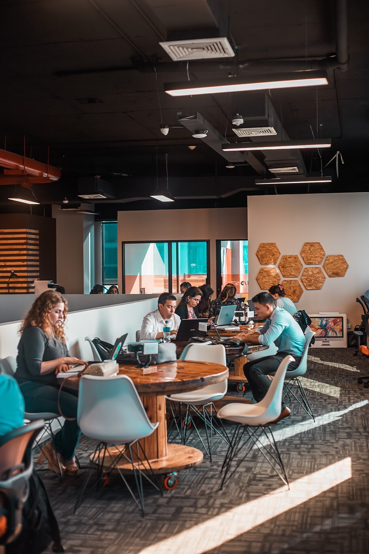 Algeria tech outsourcing company setup: step-by-step legal guide